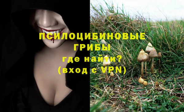 мяу мяу мука Алзамай