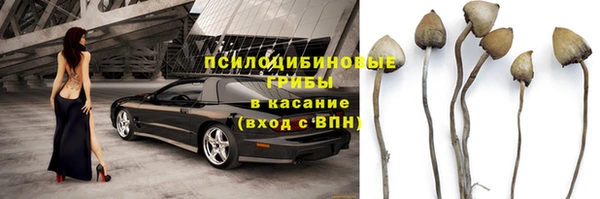 мяу мяу мука Алзамай