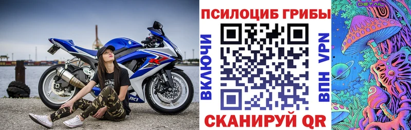 купить наркотики цена  Владивосток  MEGA ONION  Псилоцибиновые грибы Psilocybine cubensis 