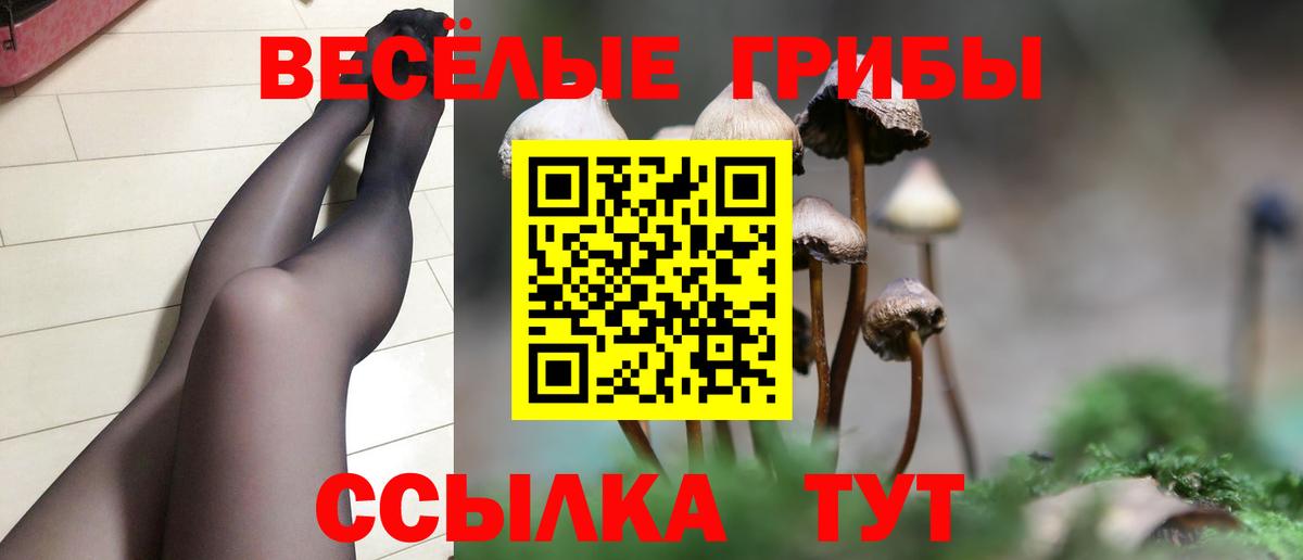Владивосток  Галлюциногенные грибы прущие грибы  где купить наркотик  Вход с VPN  Псилоцибиновые грибы ЛСД 